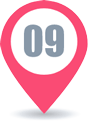 データ09